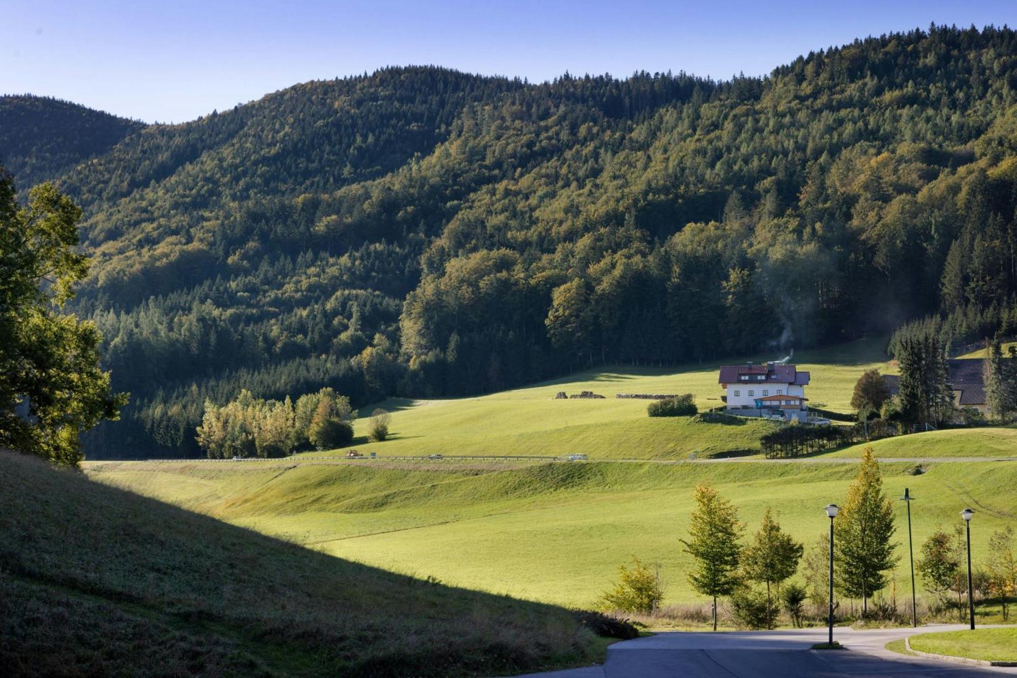 Arabella Jagdhof Resort Am Fuschlsee, A Tribute Portfolio Hotel Гоф-бай-Зальцбург Екстер'єр фото